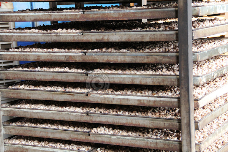 tat-tan-tat-qua-trinh-san-xuat-hat-dieu-rang-muoi-ban-can-biet