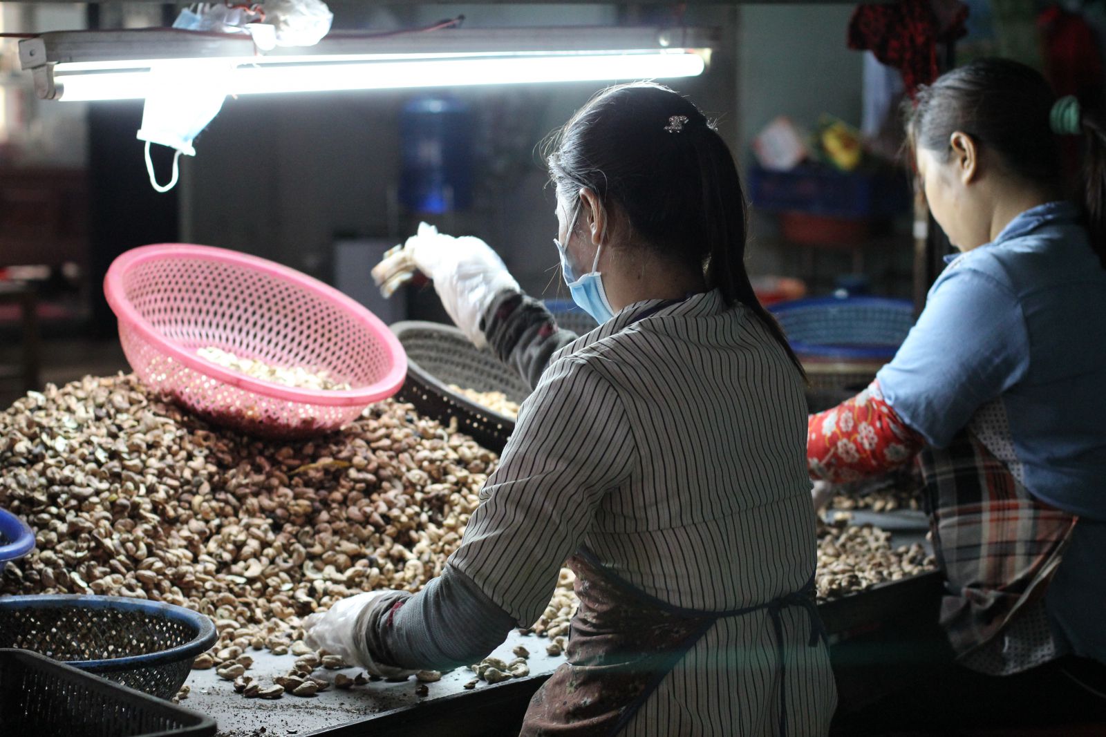 tat-tan-tat-qua-trinh-san-xuat-hat-dieu-rang-muoi-ban-can-biet