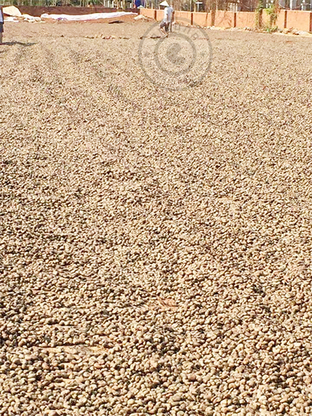 Hạt điều rang muỗi giá Hạt điều rang muỗi giá