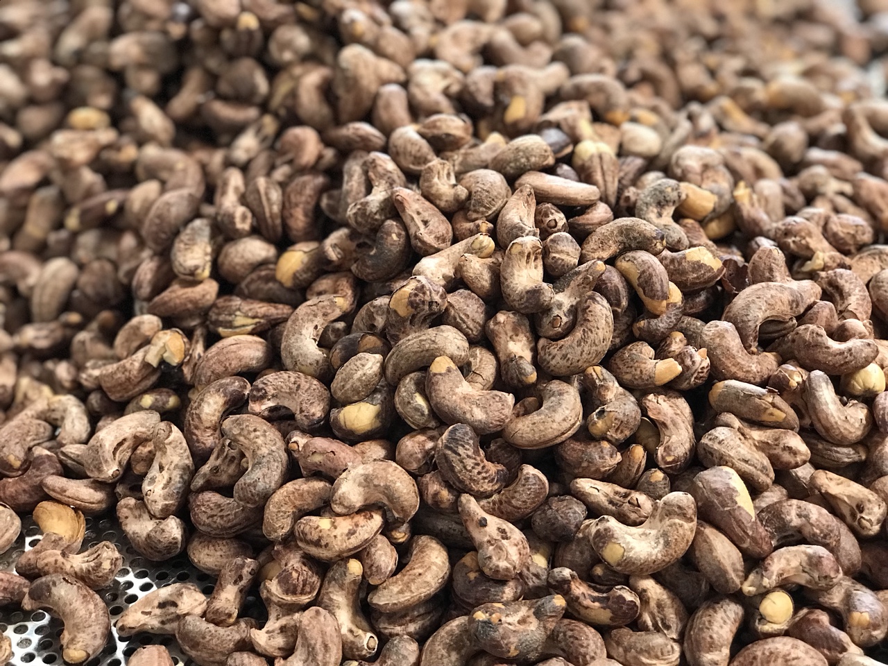 hat-dieu-rang-muoi-gia-re