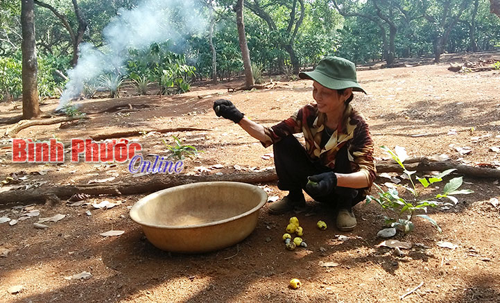 Điều Bình Phước