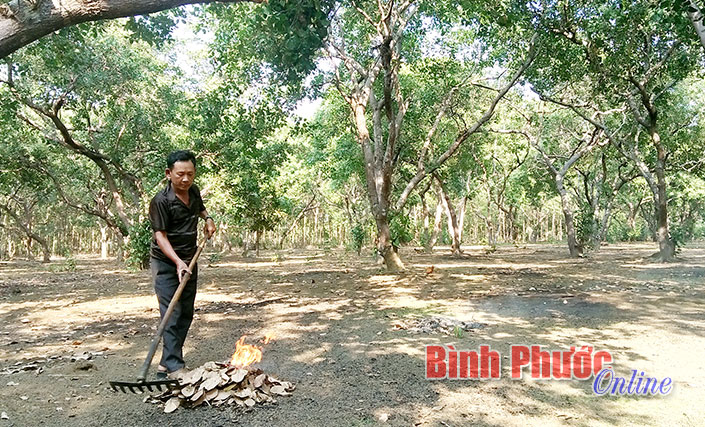 Điều Bình Phước