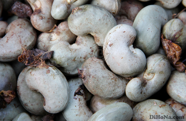 hat-dieu-rang-muoi-ngon