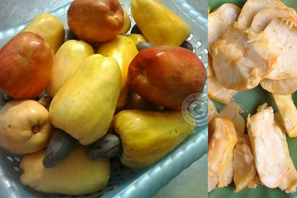 Hạt điều Bình Phước