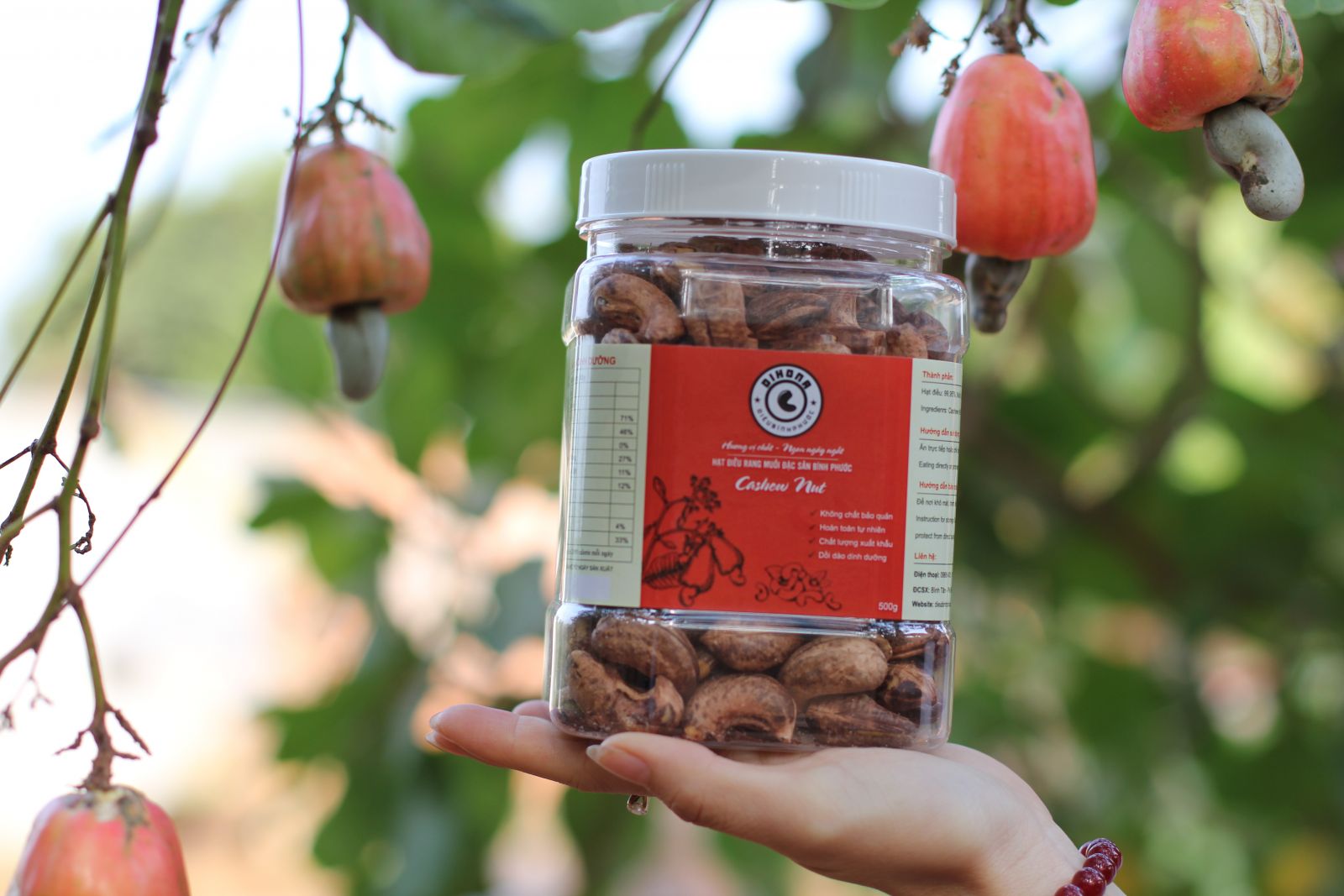 Mua hạt điều Mua hạt điều