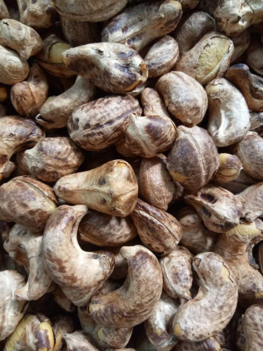 quà tặng độc lạ qua-tang-doc-la