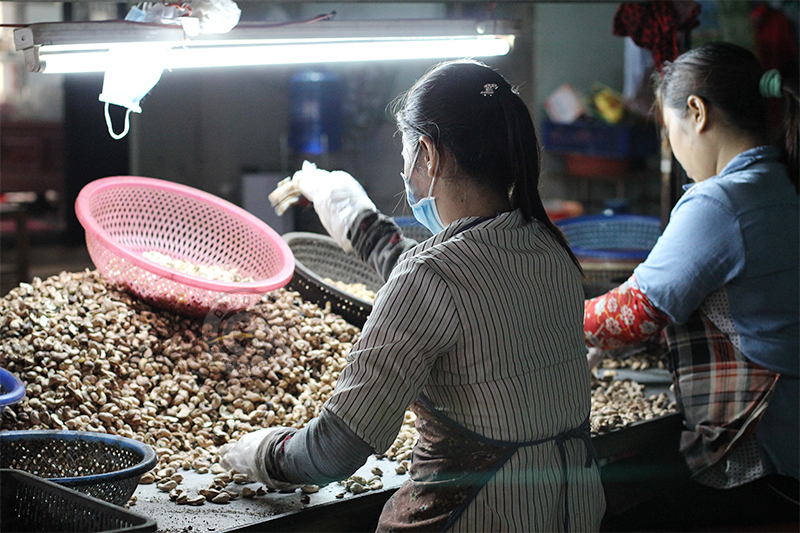 Hạt điều rang muối Bình Phước Hạt điều rang muối Bình Phước