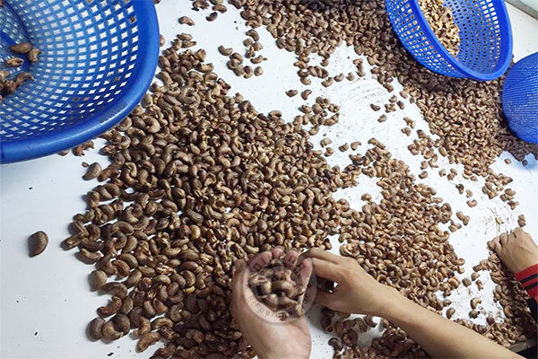 hat-dieu-rang-muoi-cao-cap