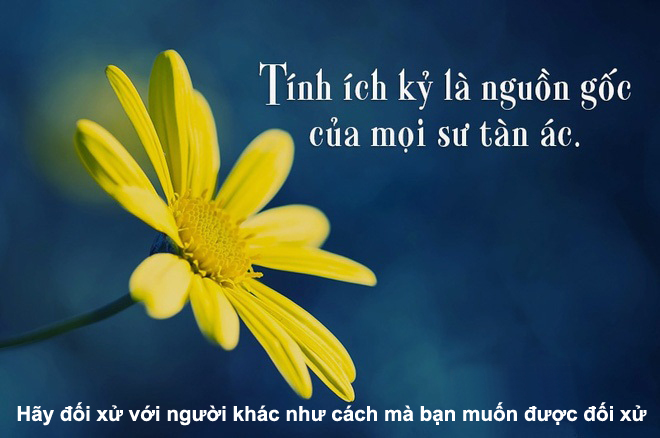 quà tặng đầu qua-tang-doc