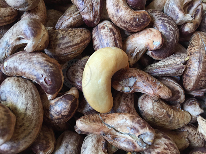 hạt điều rang muối giá sỉ