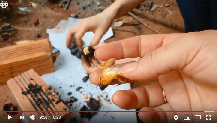 hạt điều rang muối dihona hạt điều rang muối dihona