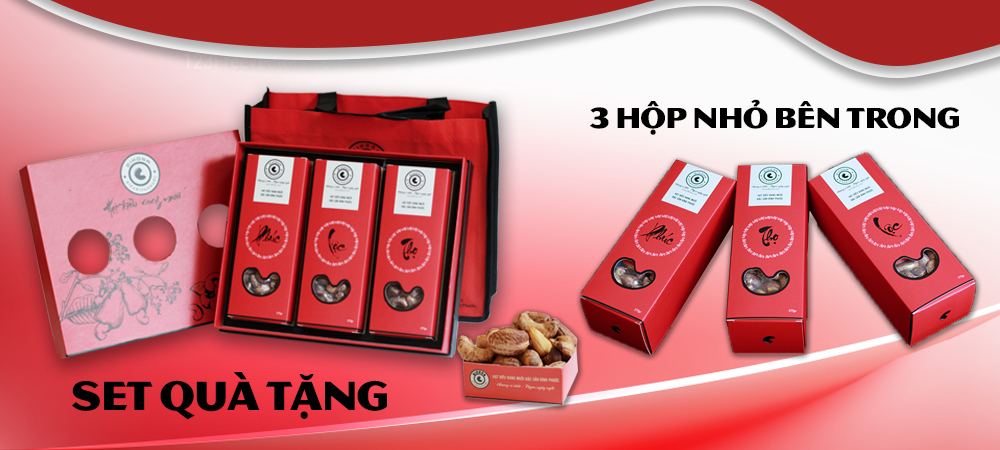 hộp quà hạt điều phúc lộc th