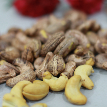 ĐÚNG VỊ BÌNH PHƯỚC